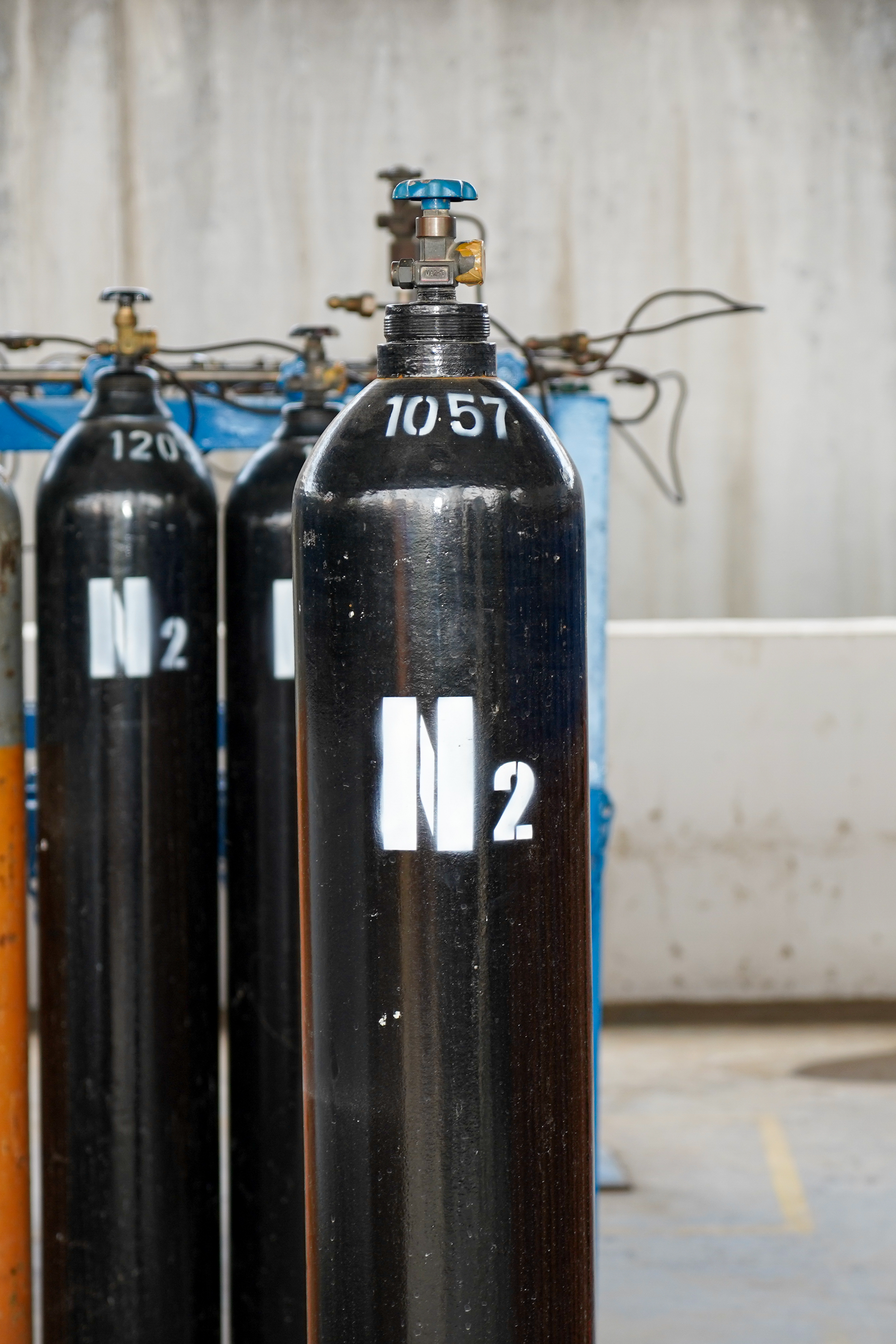 nitrogen